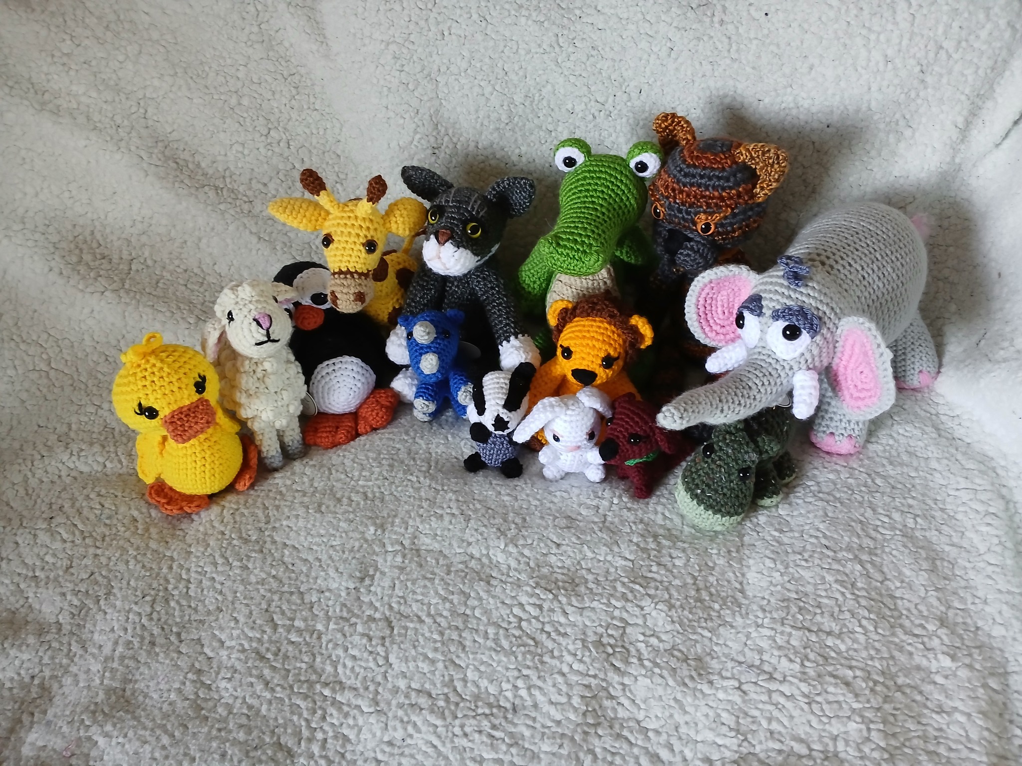 Hooked on Animals Profile Banner